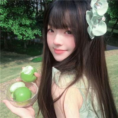 红色康乃馨